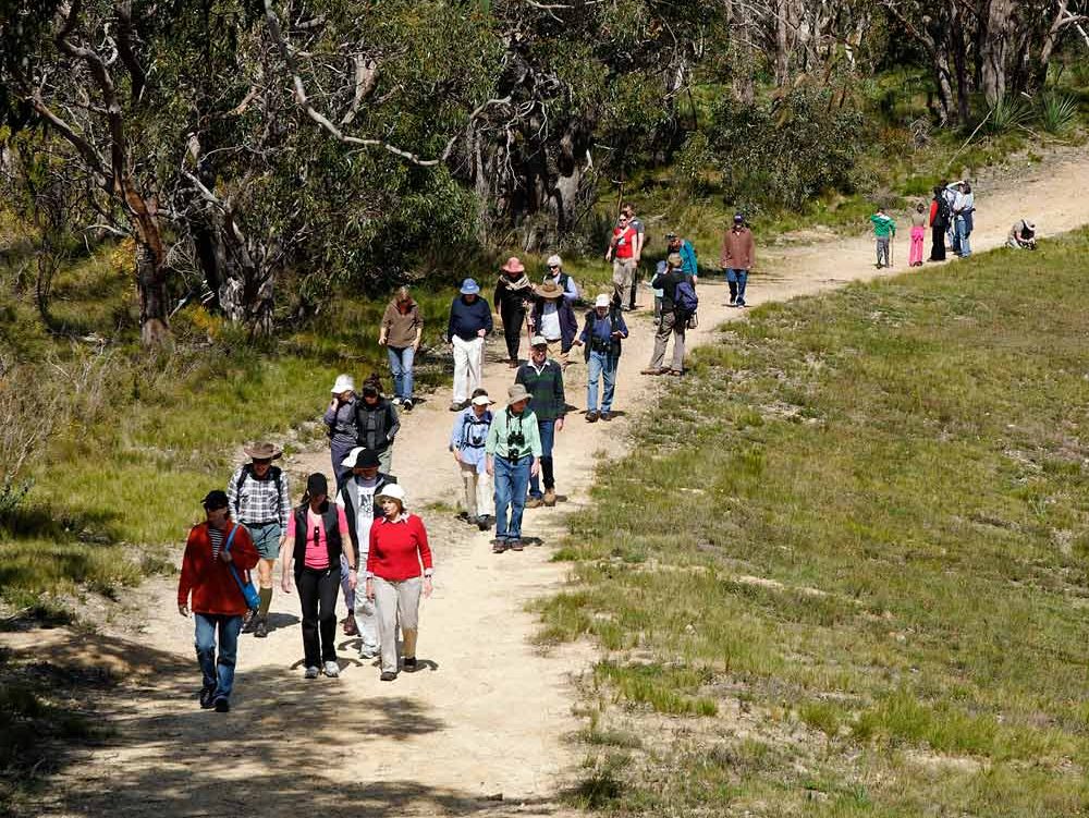 bushwalking in the Adelaide Hills, Friends of Scott Creek Conservation Park, Currawong Track