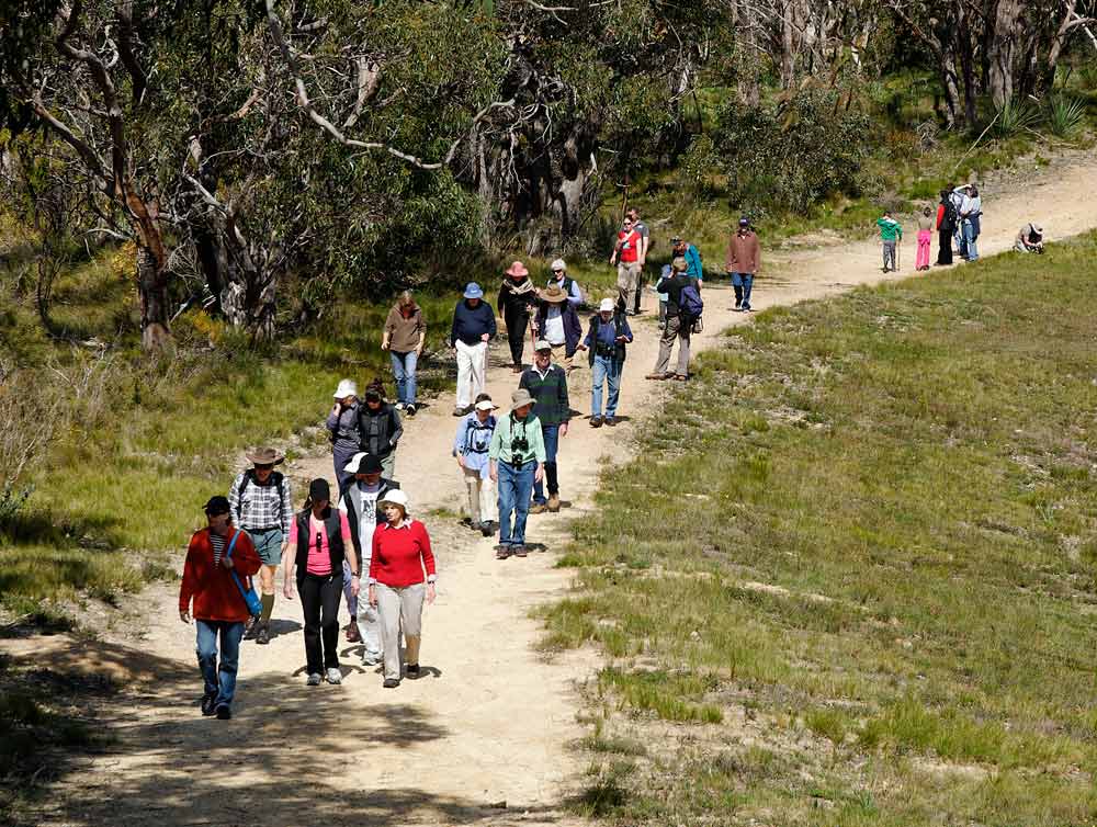 Friends of Scott Creek Conservation Park, Scott Creek Conservation Park, walking trails Adelaide Hills