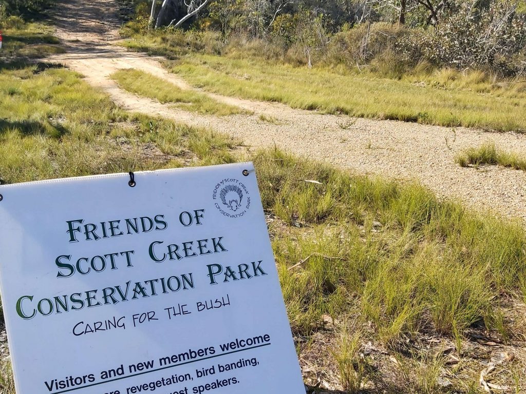 bushcare, Friends of Scott Creek Conservation Park, Friends of Parks, volunteering in national parks