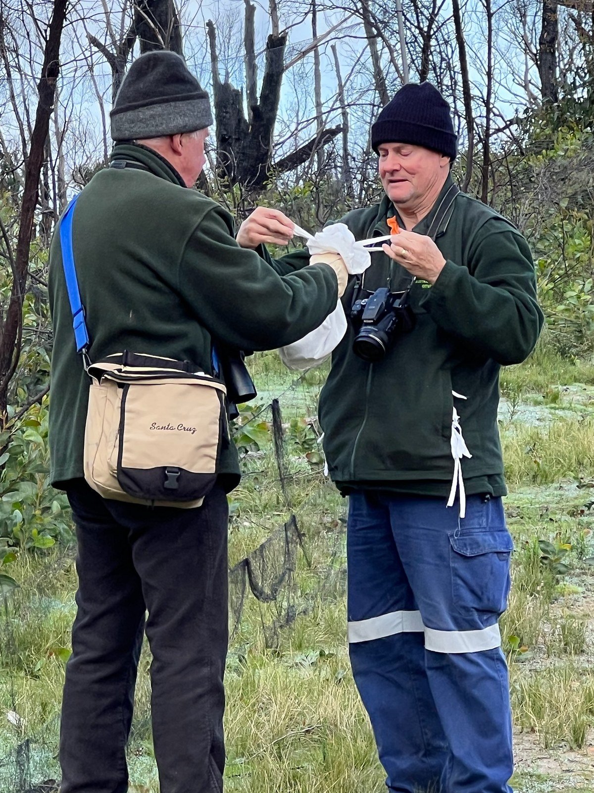 Bird monitorrng in the Mount Lofty Rangers, bird banding, https://birdssa.asn.au/location/scott-creek-conservation-park/