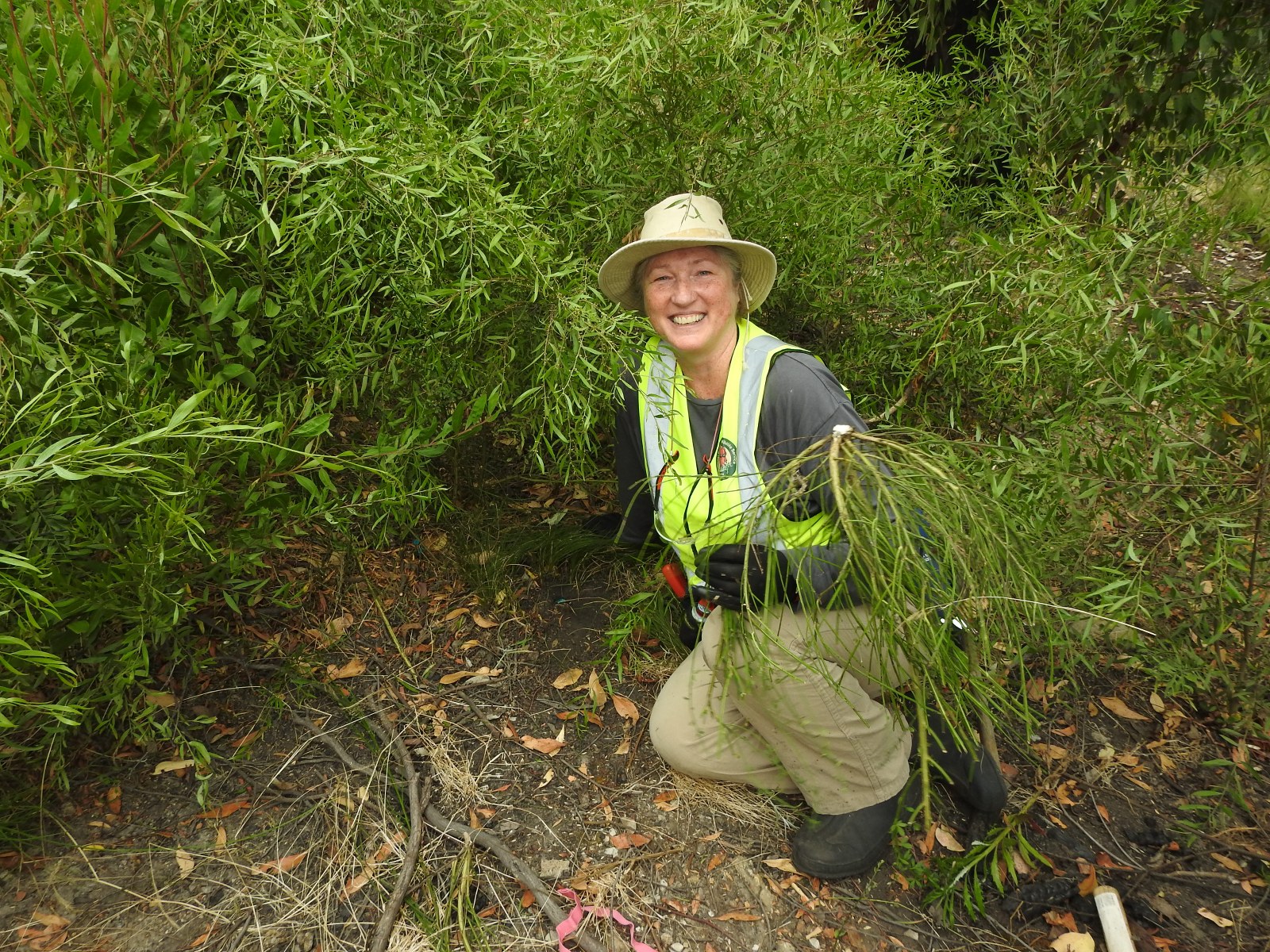 Bushcare, working bee in national park, weed control, bushfire recovery